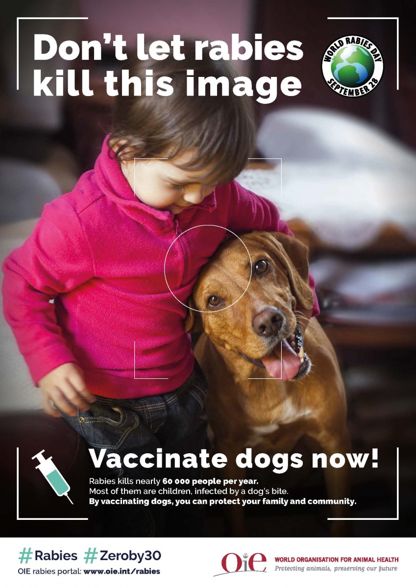 World Rabies Day
